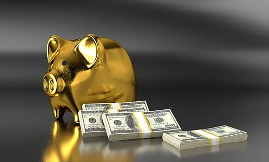 旺财28官网-追求康健,你我一起生长