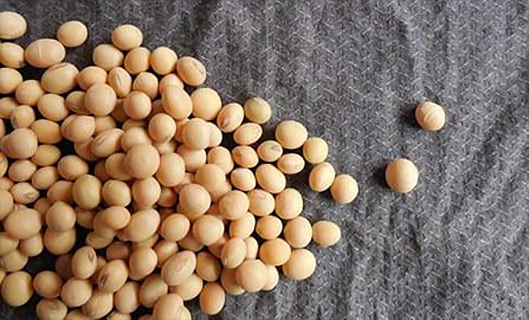 旺财28官网-追求康健,你我一起生长