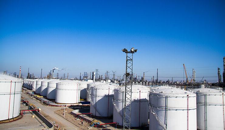 旺财28官网-追求康健,你我一起生长