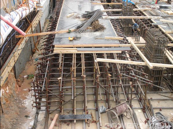 旺财28官网-追求康健,你我一起生长