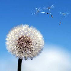 旺财28官网-追求康健,你我一起生长