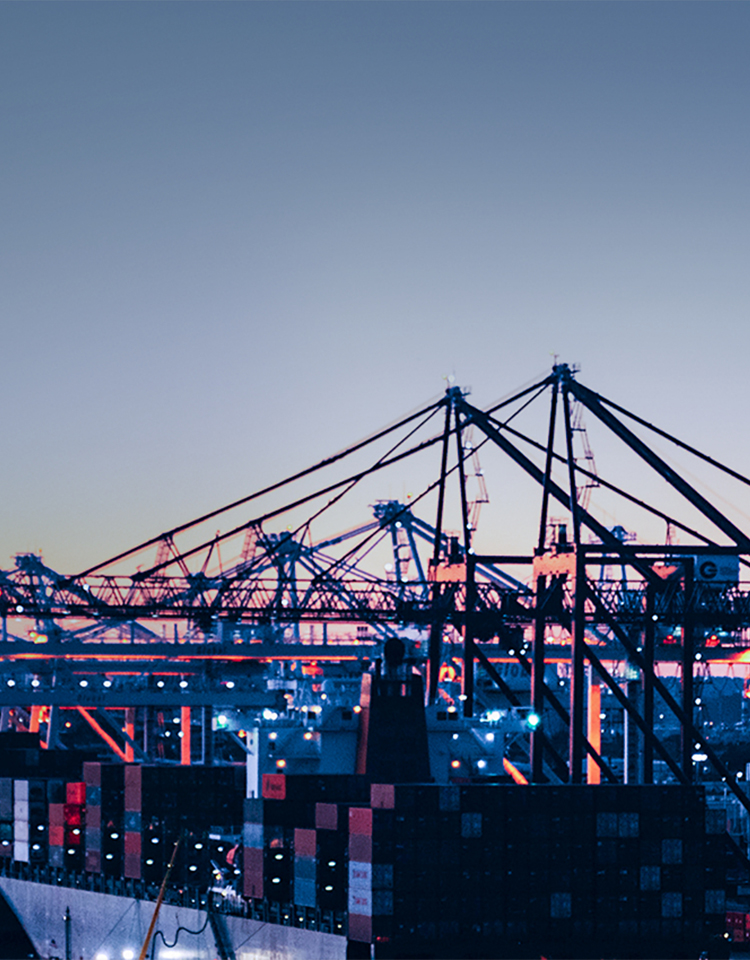 旺财28官网-追求康健,你我一起生长